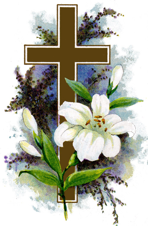 free clip art easter lily. White Easter Lily Cross